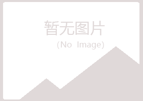 青岛崂山迷茫保险有限公司